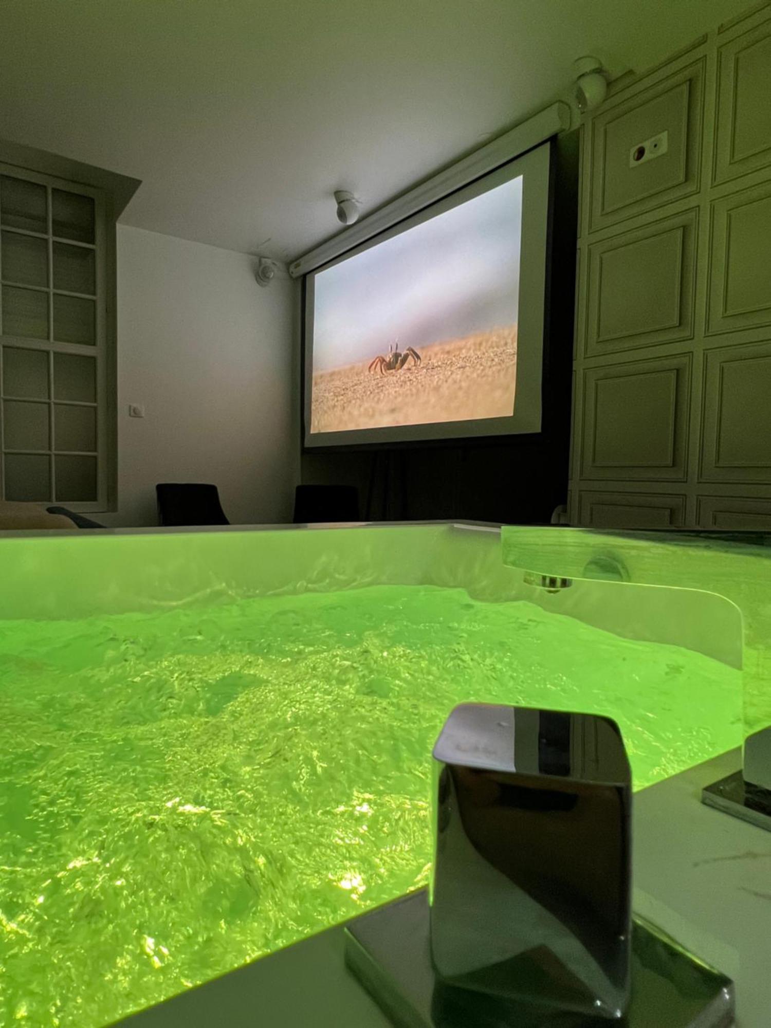 Appartement Avec Jacuzzi Sauna & Home Cinema - Nid D'Angers Exterior photo